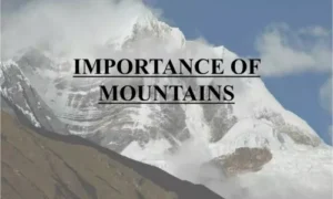 Why Are Mountains Important?