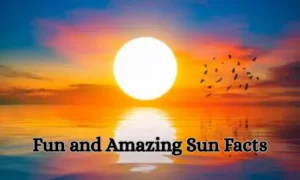 Fun and Amazing Sun Facts
