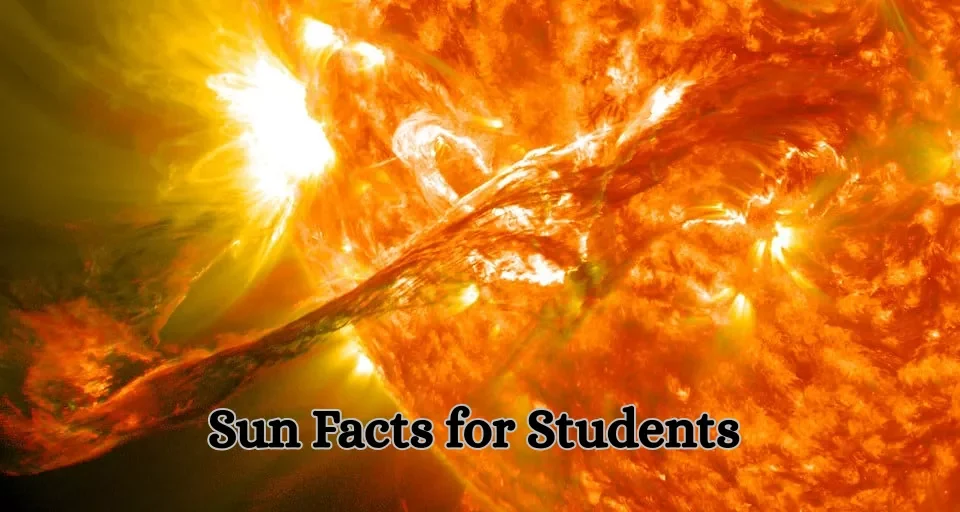 Sun Facts for Students
