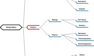 Use Diagrams, Charts & Tables for scoring high
