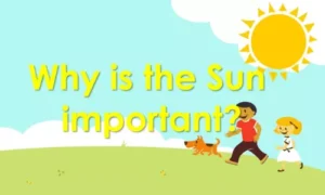 Why Is the Sun Important