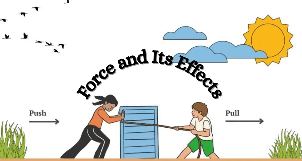 Force and Its Effects