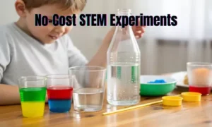 No-Cost STEM Experiments
