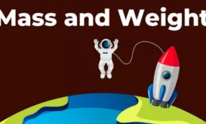 Real-Life Uses of Mass and Weight