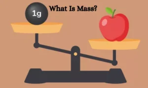 What Is Mass? 