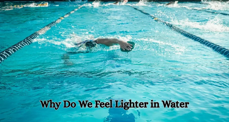 Why Do We Feel Lighter in Water