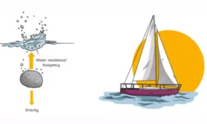 Why Does Water Push Objects Upward?