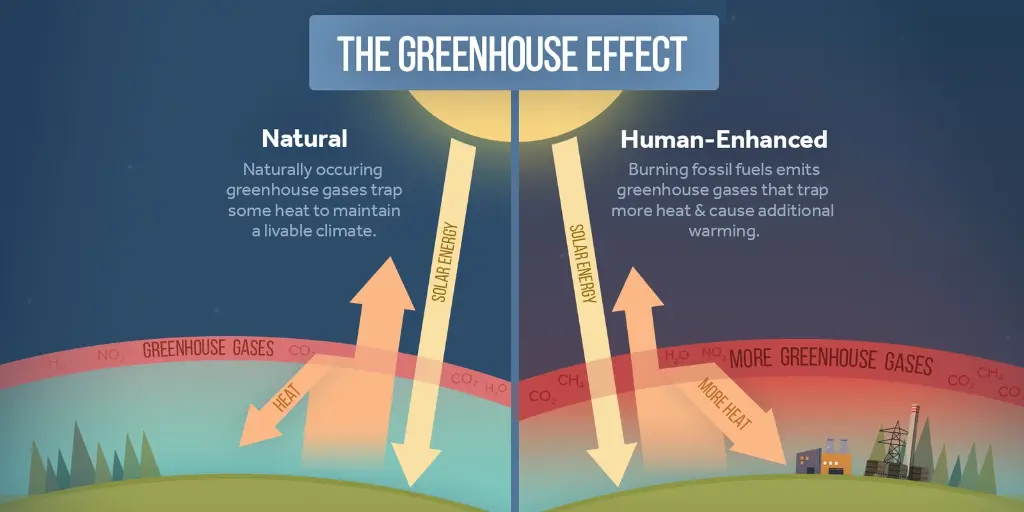 Carbon Dioxide Trap Heat