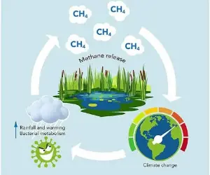 Methane