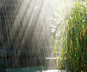 Timing and season of rainfall