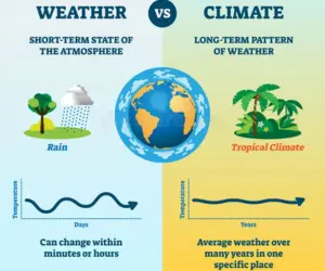 Weather and Local Climate