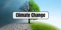 Why Do Cities Experience Urban Heat Islands?