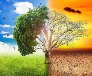 Climate change