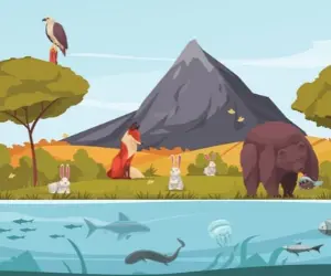 ecosystems