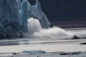 some glaciers lose ice by calving
