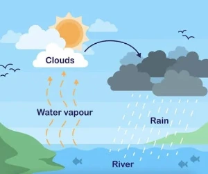 water cycle and rainfall